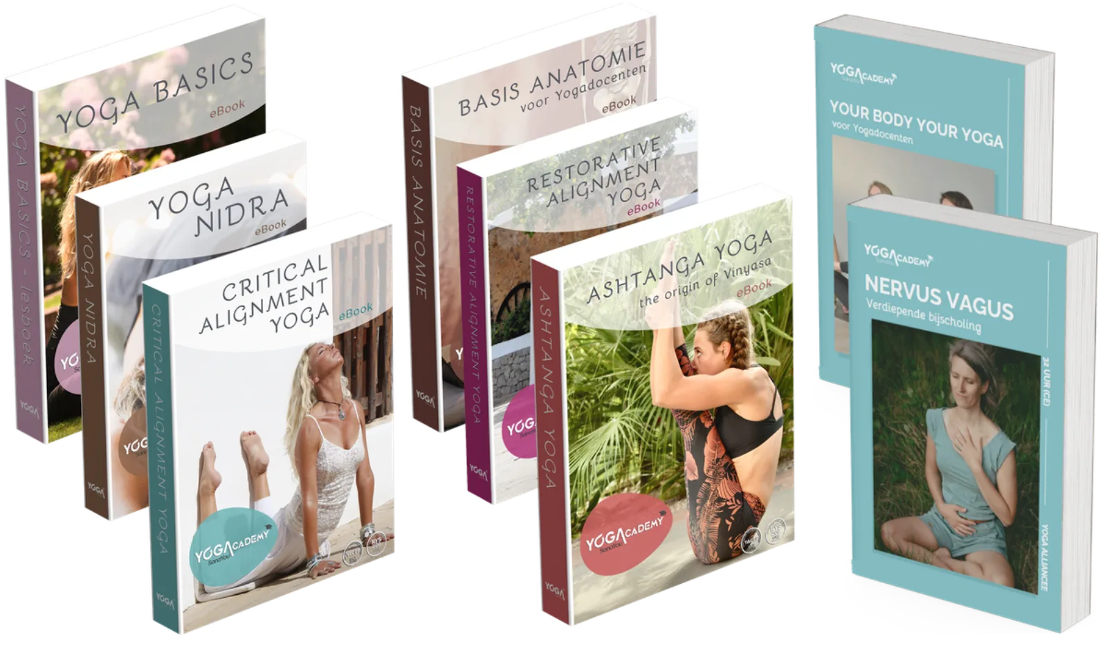 Ebook bundel RYT300 The Art of Advanced teaching