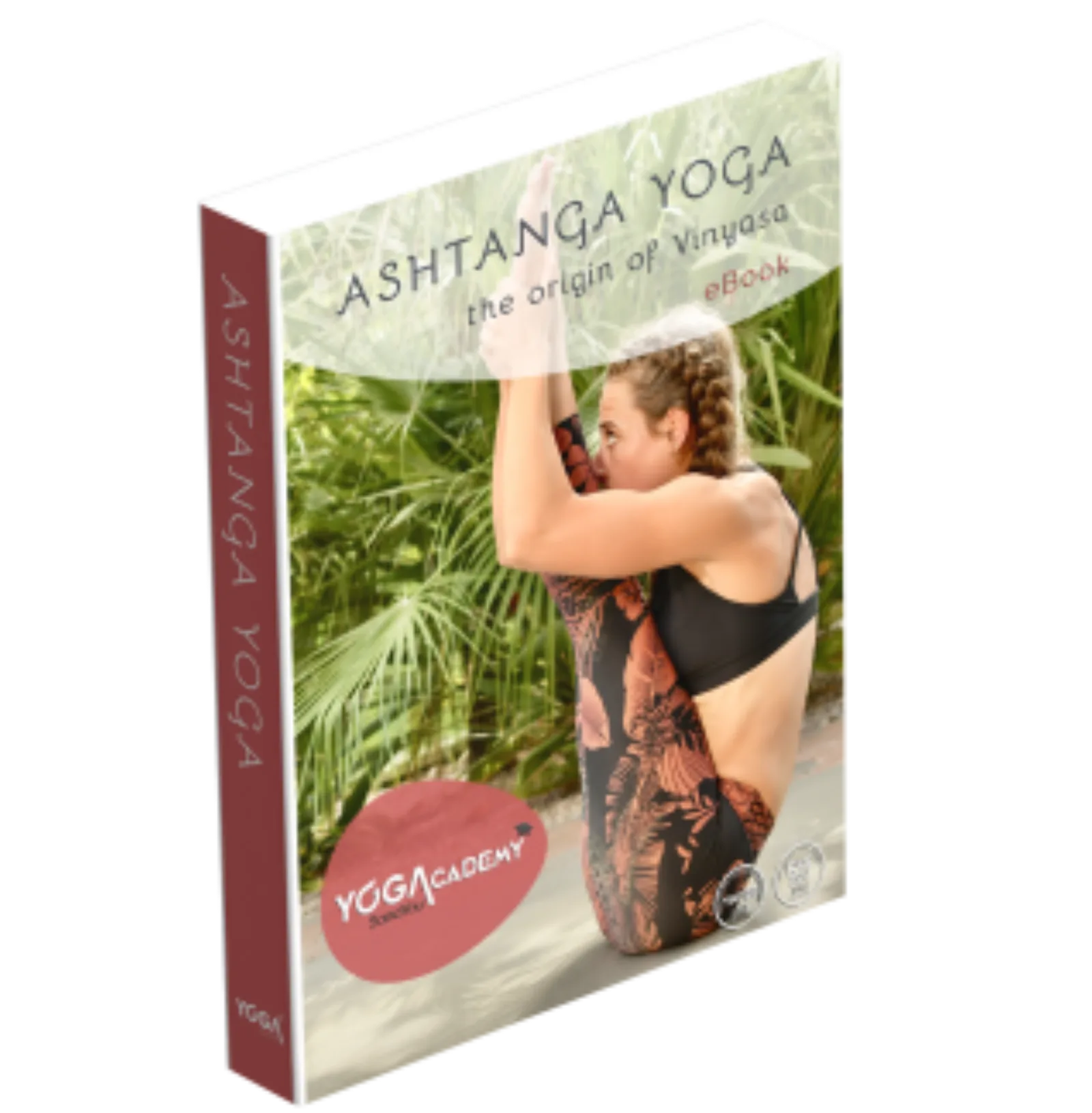 Lesboek Ashtanga Yoga