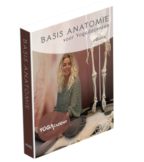 Lesboek Basis Anatomie