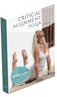 Lesboek Critical Alignment Yoga