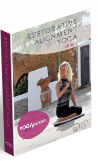 Lesboek Restorative Alignment Yoga