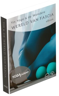 Lesboek Yin Yoga & de Wereld van Fascia