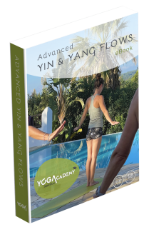 Lesboek Advanced Yin & Yang Flows