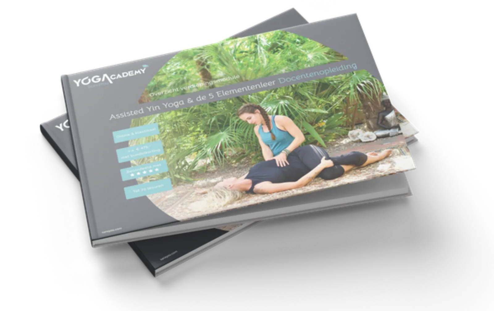 Opleidingsgids Assisted Yin Yoga & de 5 Elementenleer