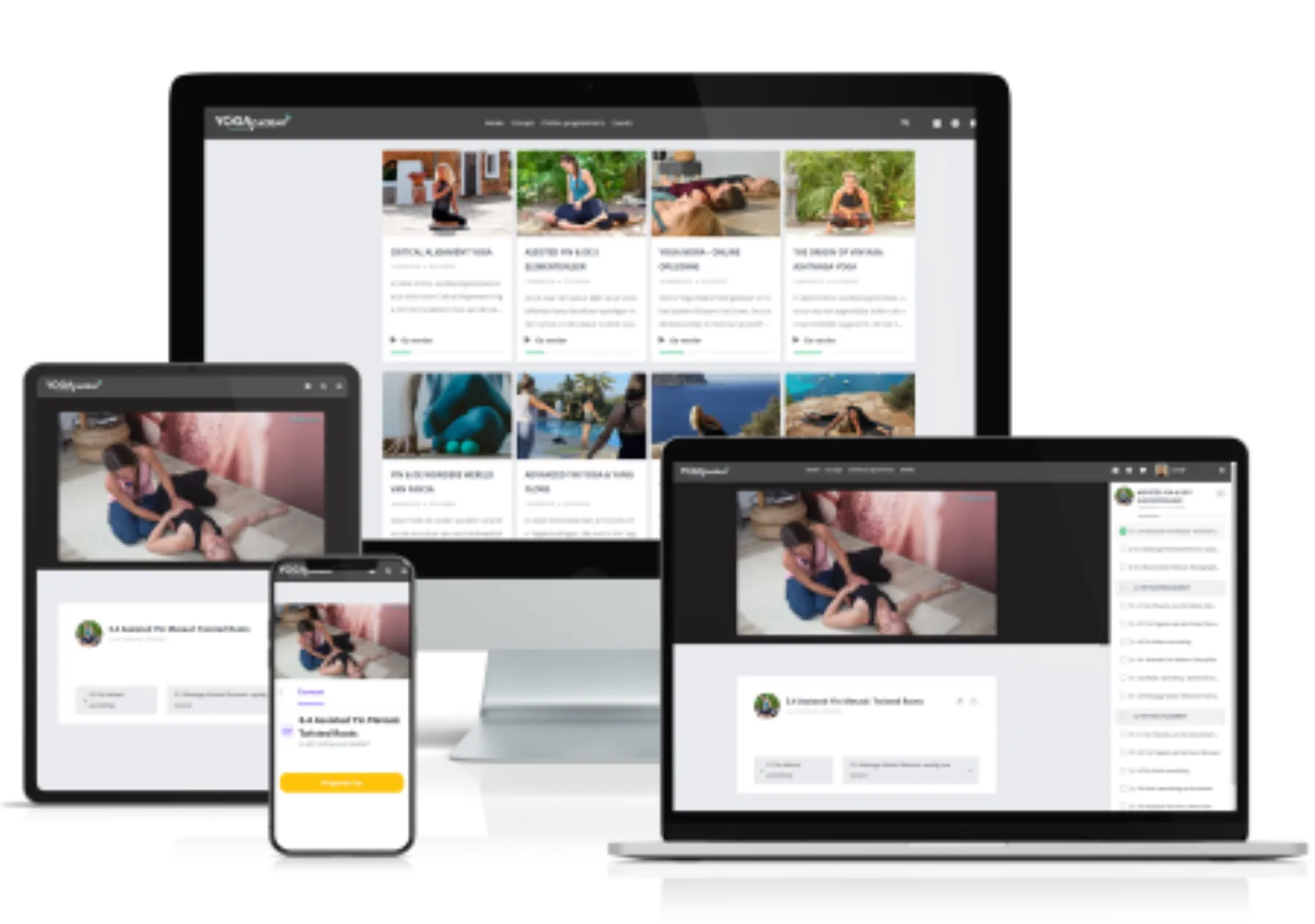 Online Opleiding Assisted Yin en de 5 Elementenleer Online Opleiding Assisted Yin en de 5 Elementenleer