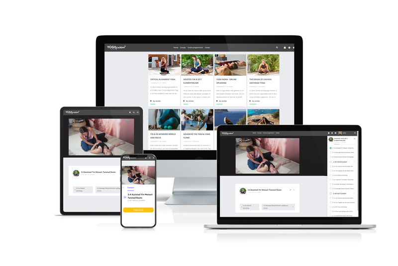 Online Academy Yin & 5 Elementenleer