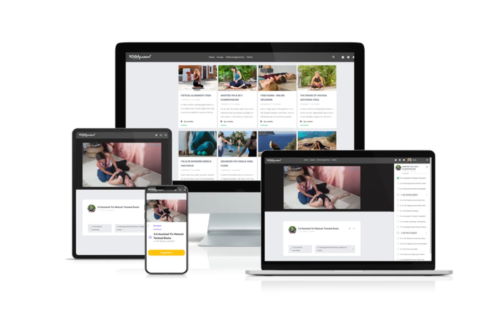 Online Academy Yin & 5 Elementenleer