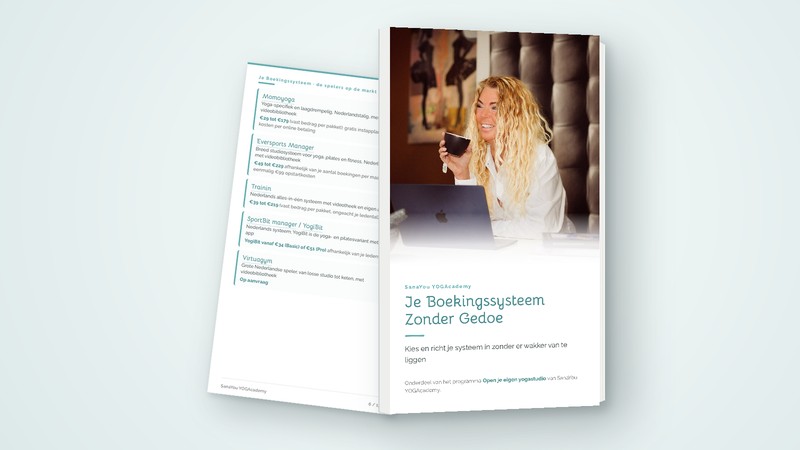 Mock-up van Je Boekingssysteem Zonder Gedoe, met de eisenlijst ernaast